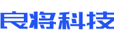 阳西县软件开发公司